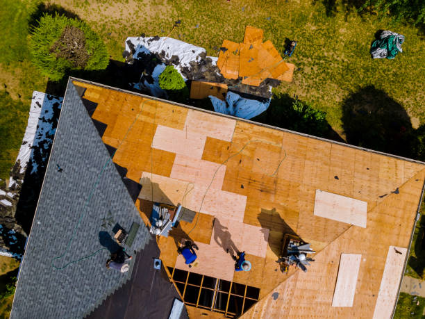 Best Roof Waterproofing Services  in Roodhouse, IL