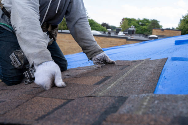 Professional Roofing Contractor in Roodhouse, IL